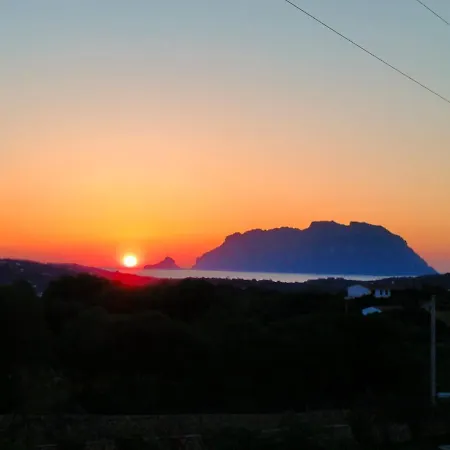 The Sunrise